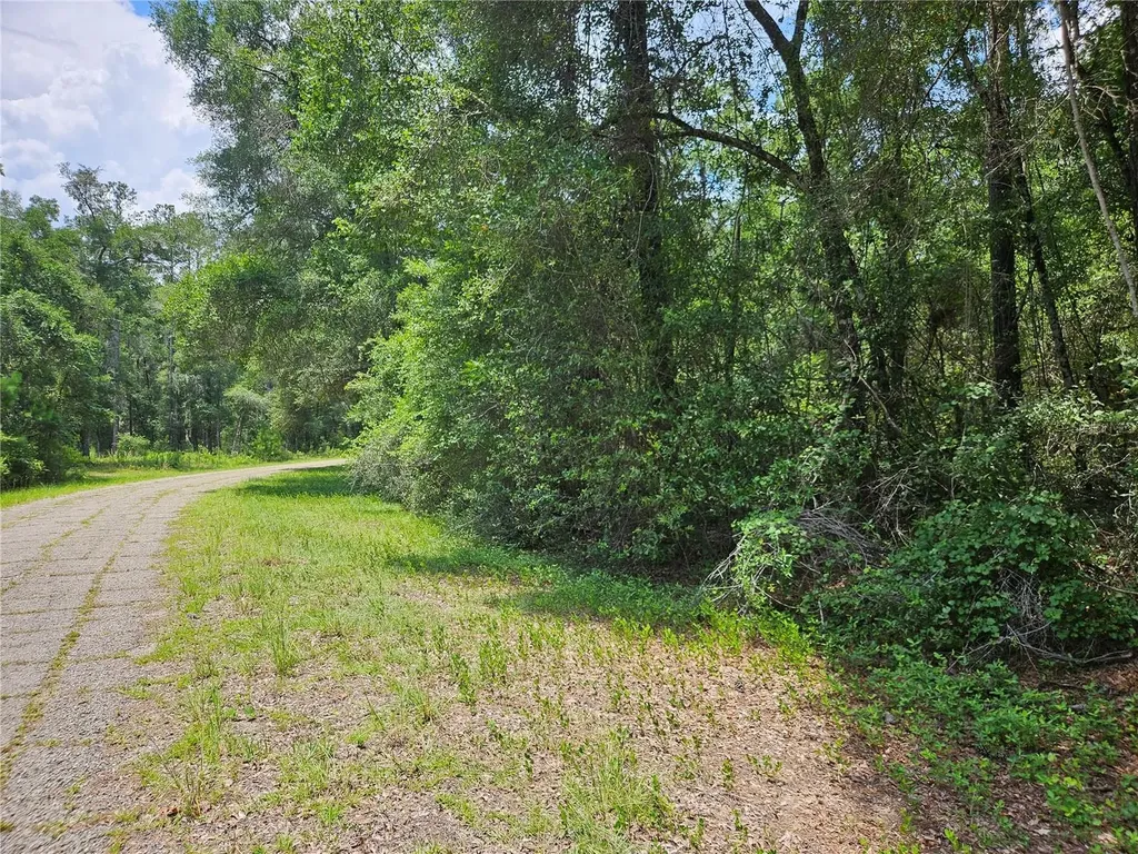 1582 Derby Drive Dunnellon FL 34434