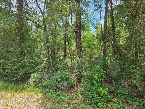 1582 Derby Drive Dunnellon FL 34434