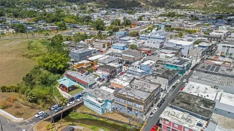 152 C. Núñez Romero Cayey PR 00736