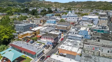 152 C. Núñez Romero Cayey PR 00736