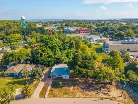 610 W Maud Street Tavares FL 32778