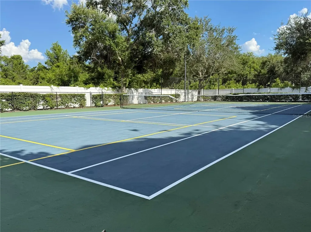 12861 Madison Pointe Circle Orlando FL 32821