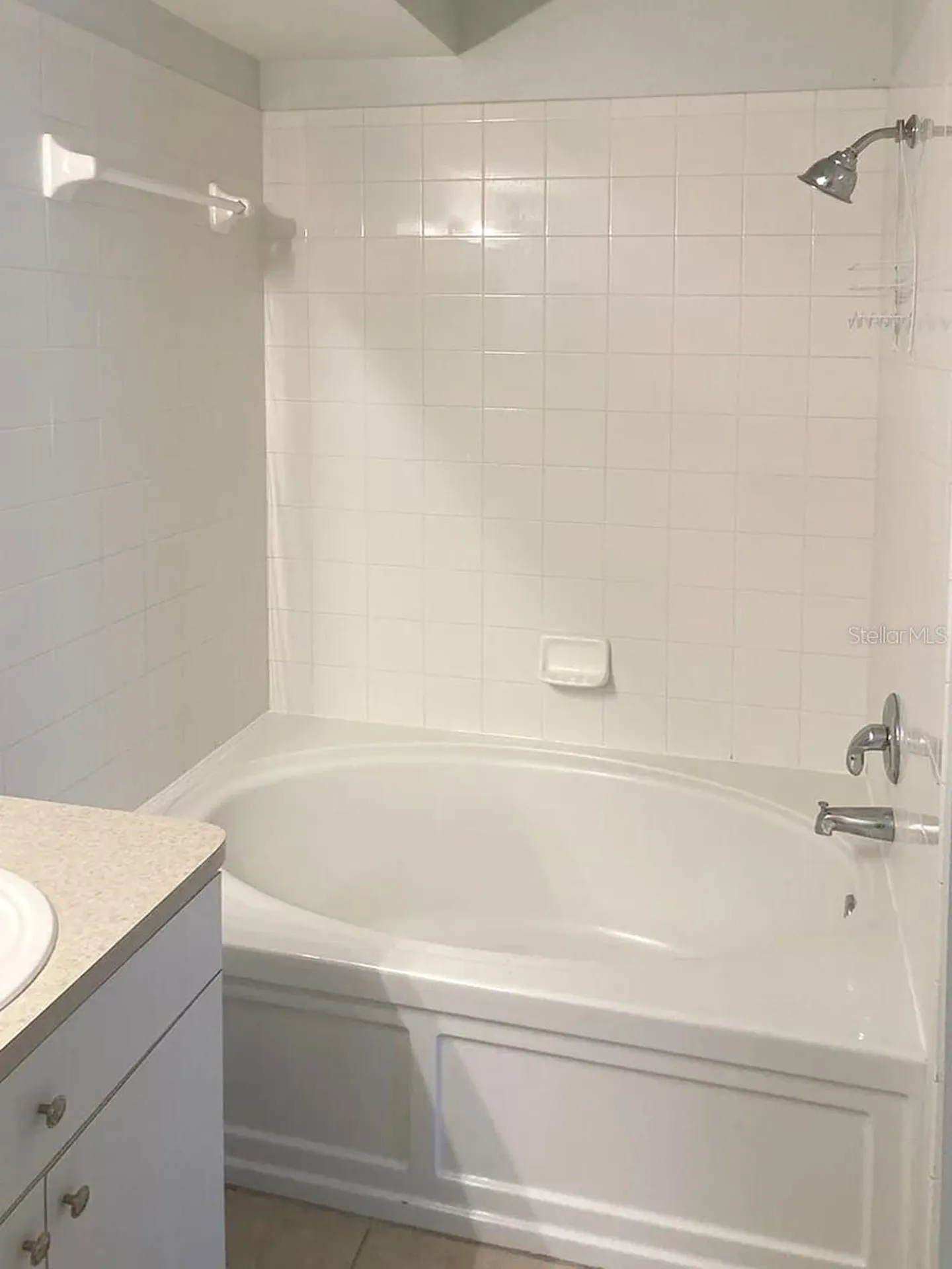 2510 Butterfly Landing Drive Land O Lakes FL 34638