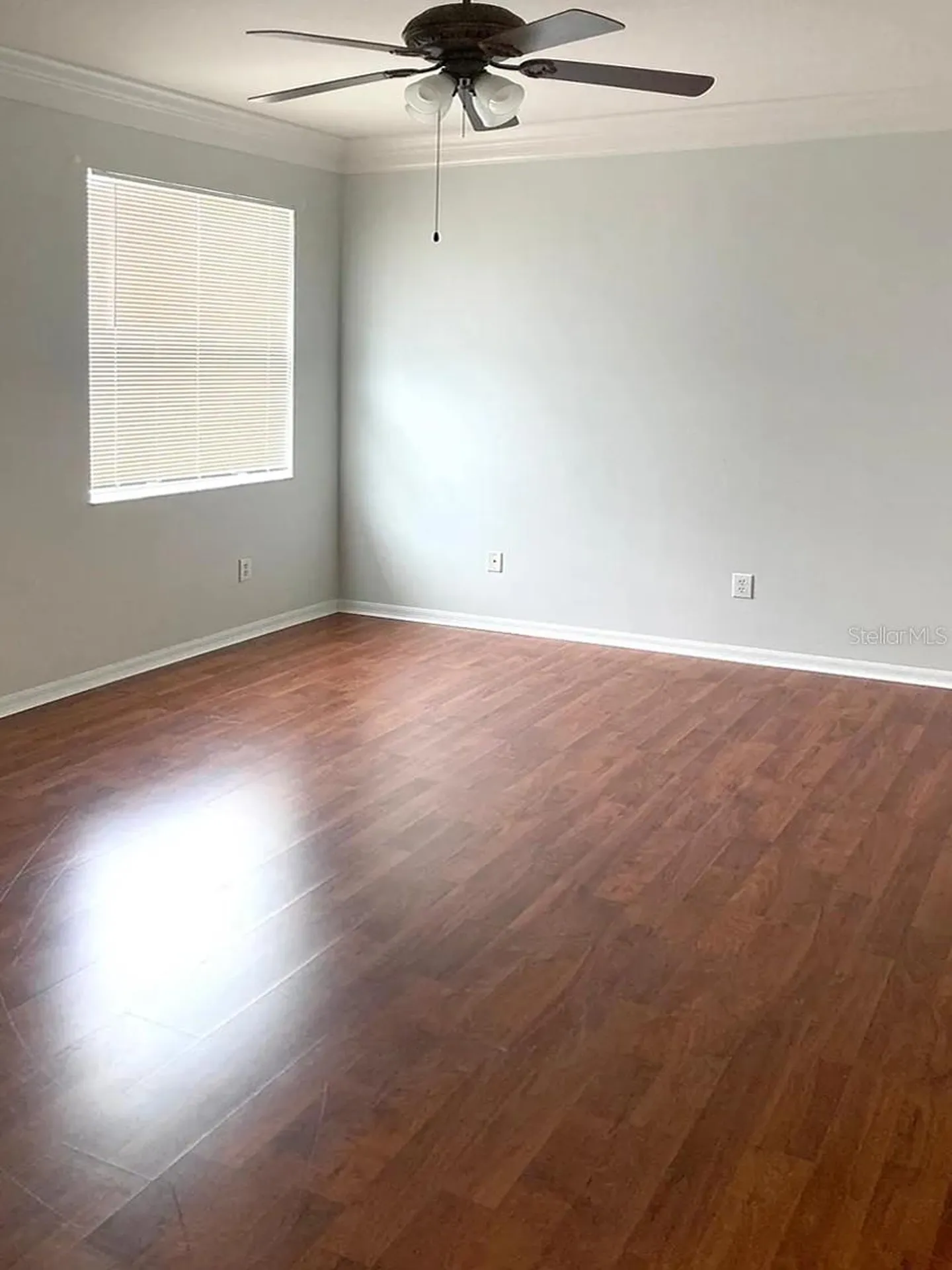 2510 Butterfly Landing Drive Land O Lakes FL 34638