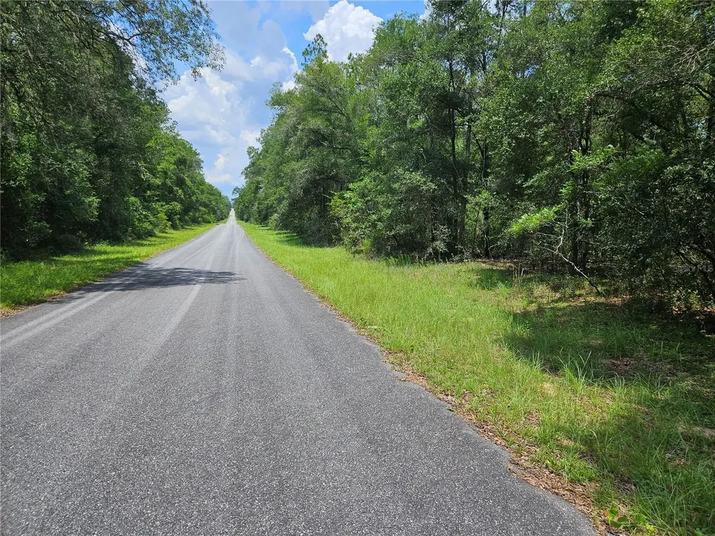 1139 Kingsdale Street Dunnellon FL 34434
