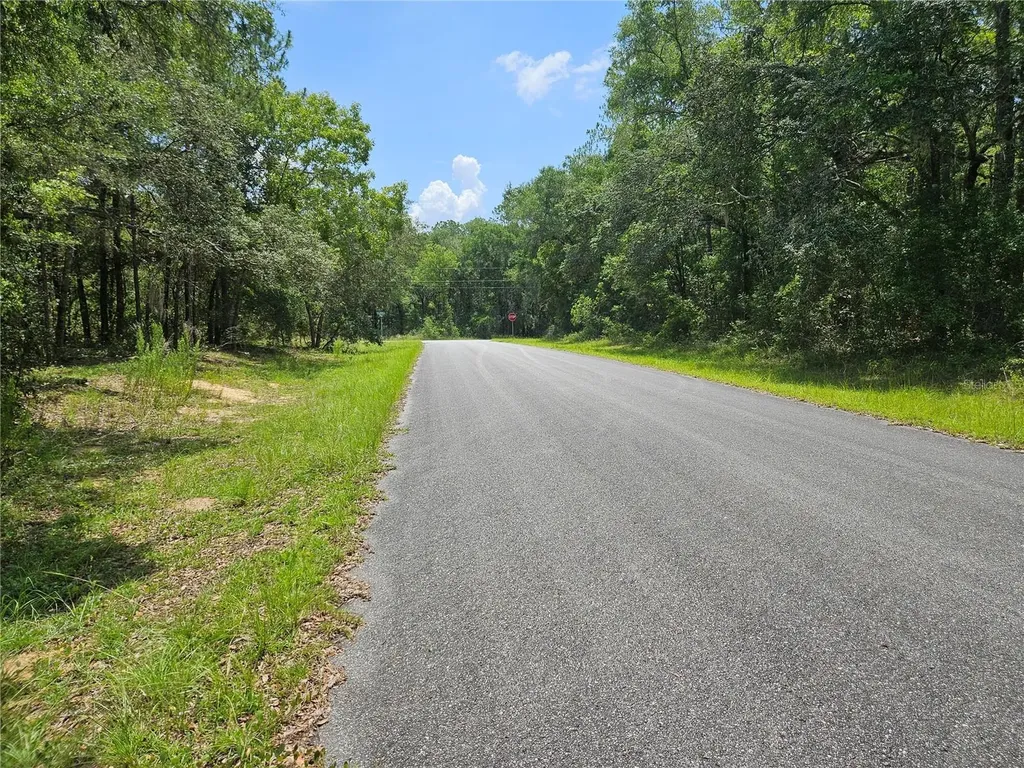 1139 Kingsdale Street Dunnellon FL 34434