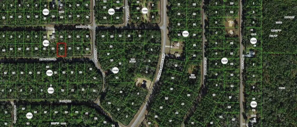 1139 Kingsdale Street Dunnellon FL 34434