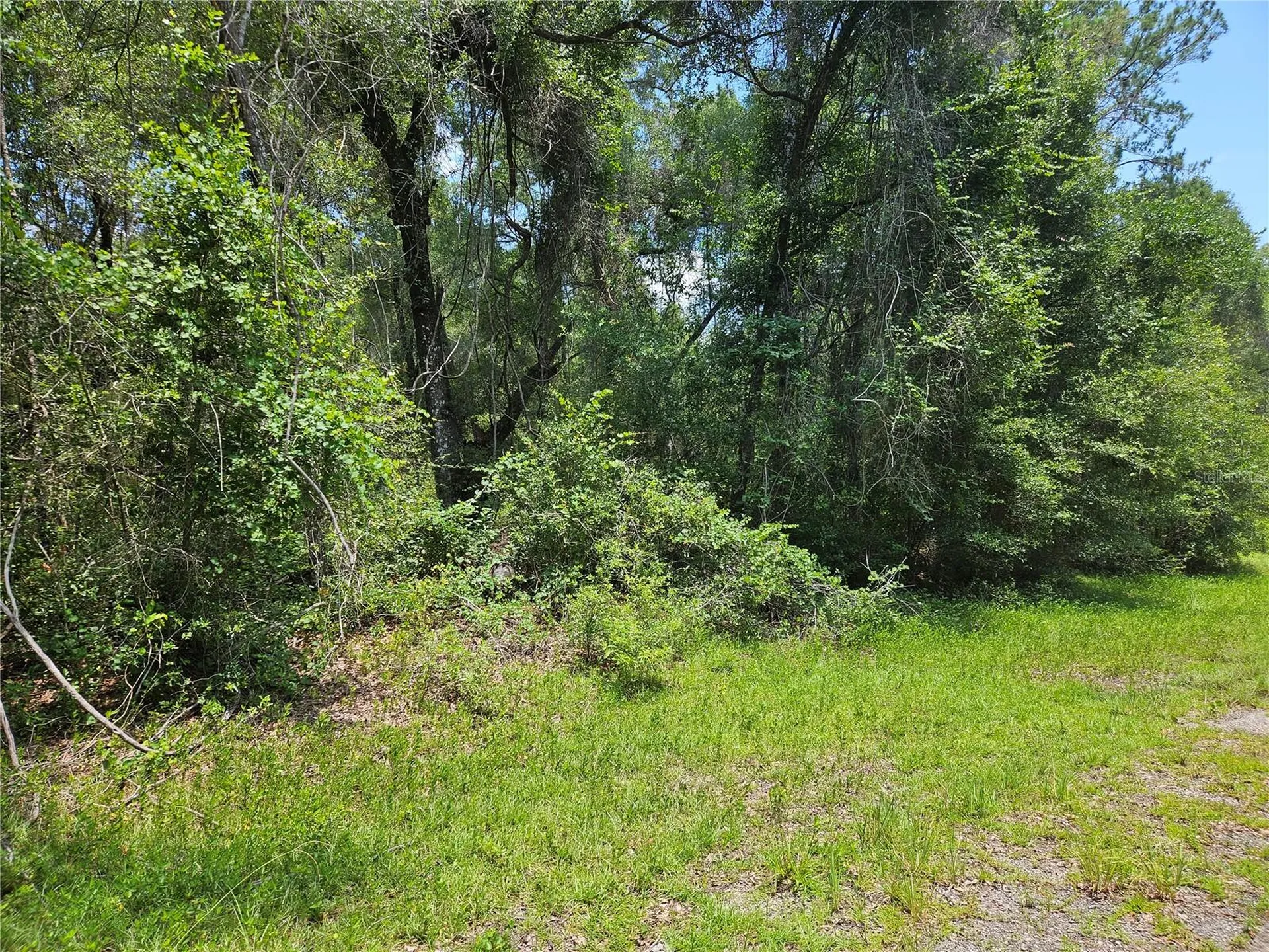 1139 Kingsdale Street Dunnellon FL 34434