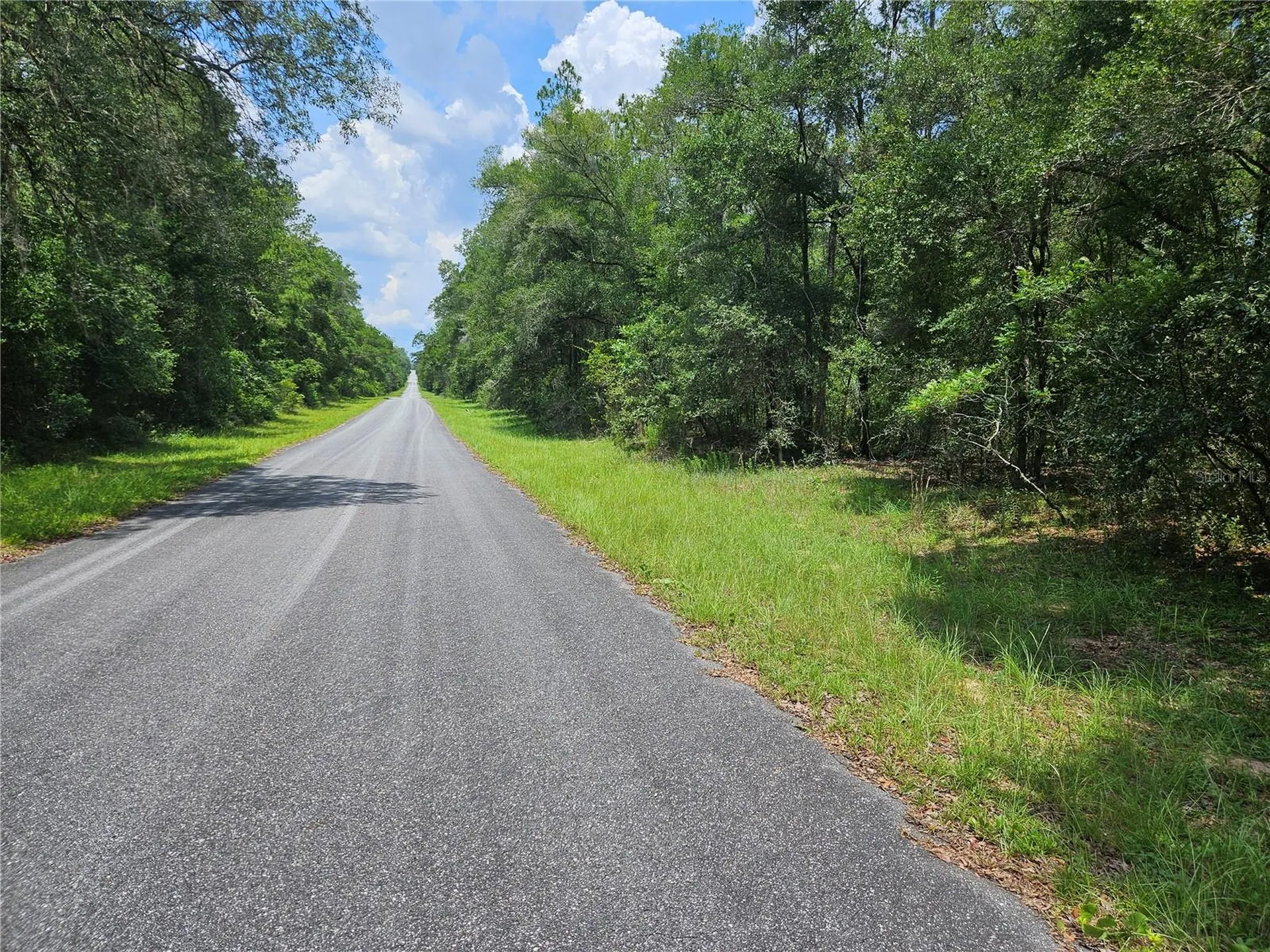 1139 Kingsdale Street Dunnellon FL 34434