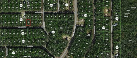 1139 Kingsdale Street Dunnellon FL 34434