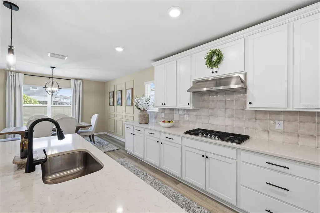 20958 Drake Elm Drive Land O Lakes FL 34638