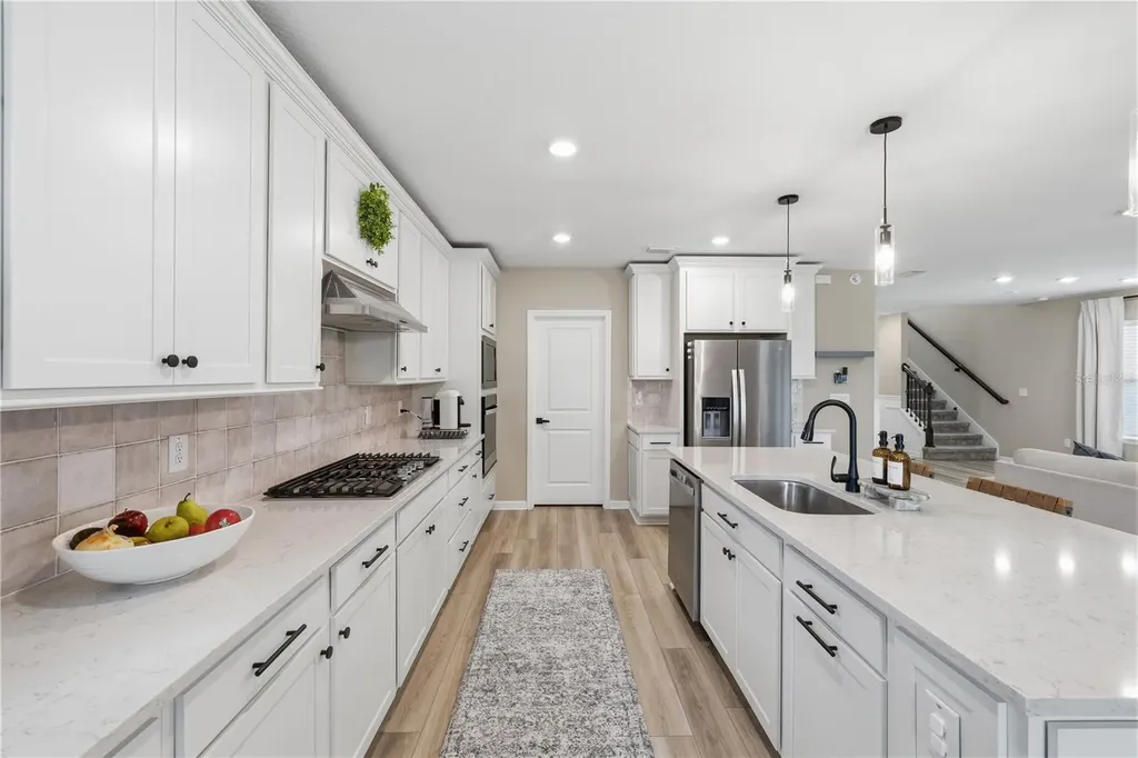 20958 Drake Elm Drive Land O Lakes FL 34638