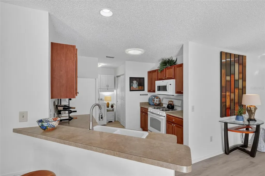 2368 Branchville Terrace The Villages FL 32162