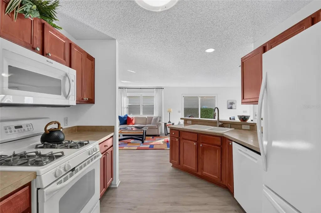 2368 Branchville Terrace The Villages FL 32162