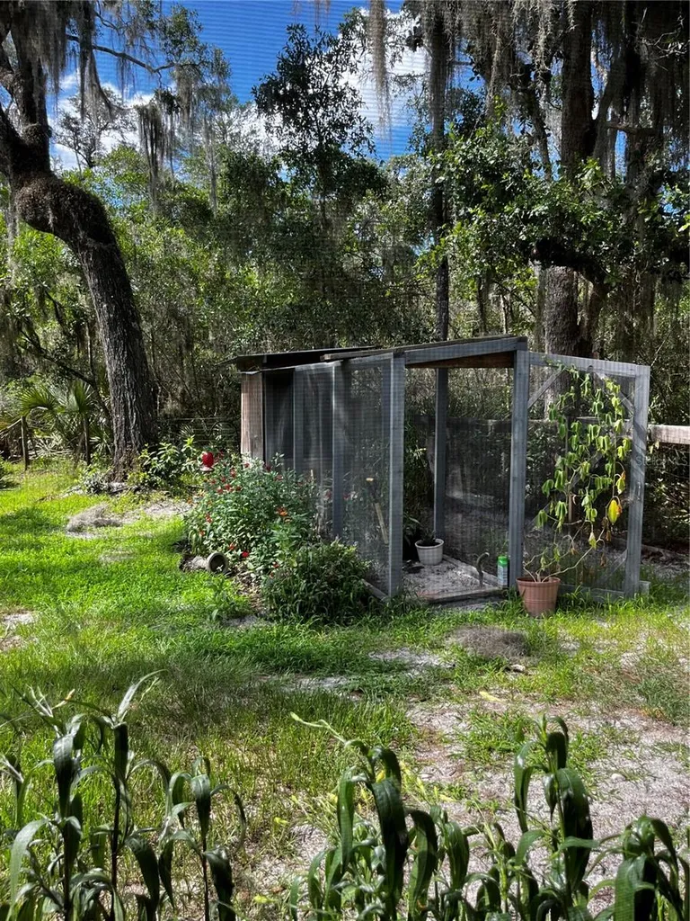 110 Plumosa Drive Georgetown FL 32139