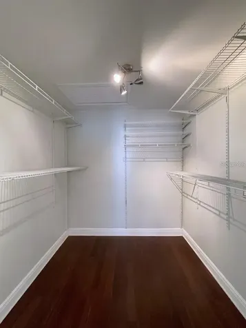 3903 W Corona Street Tampa FL 33629