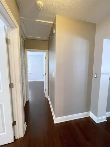 3903 W Corona Street Tampa FL 33629