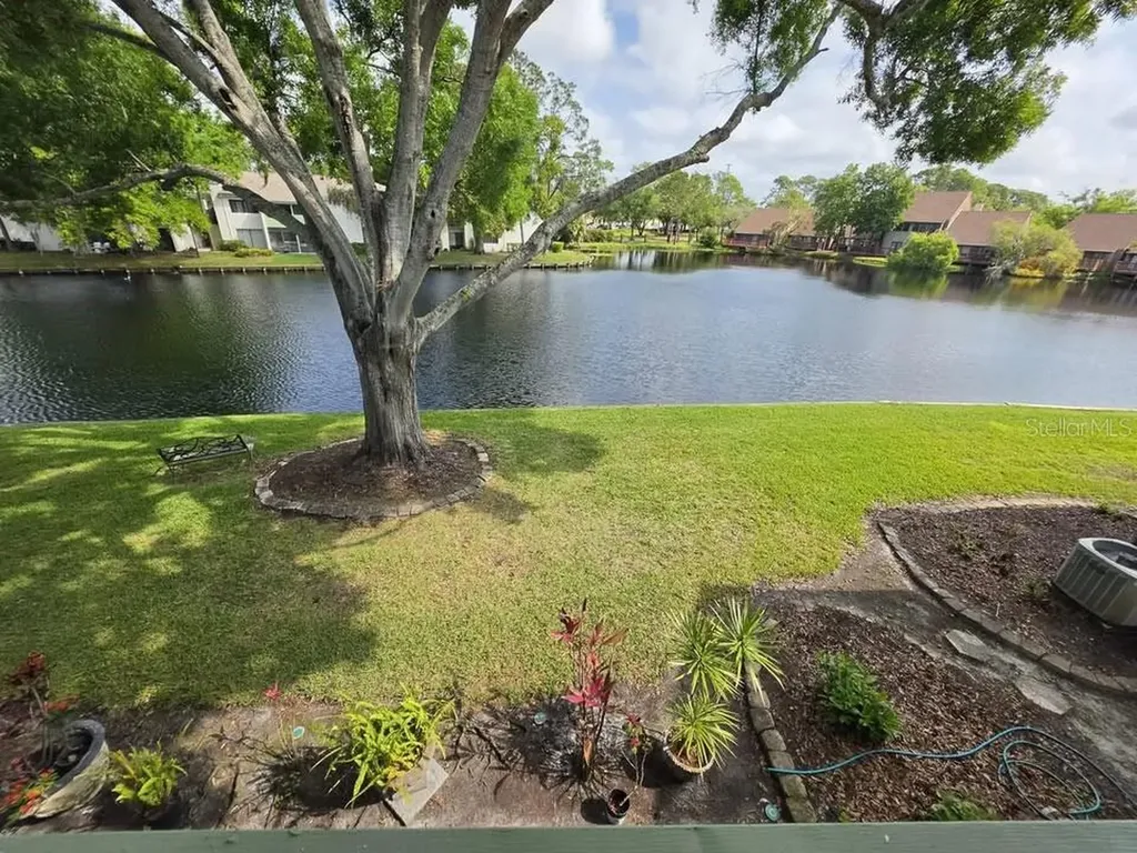 4158 Pinelake Lane Tampa FL 33618