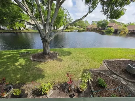 4158 Pinelake Lane Tampa FL 33618