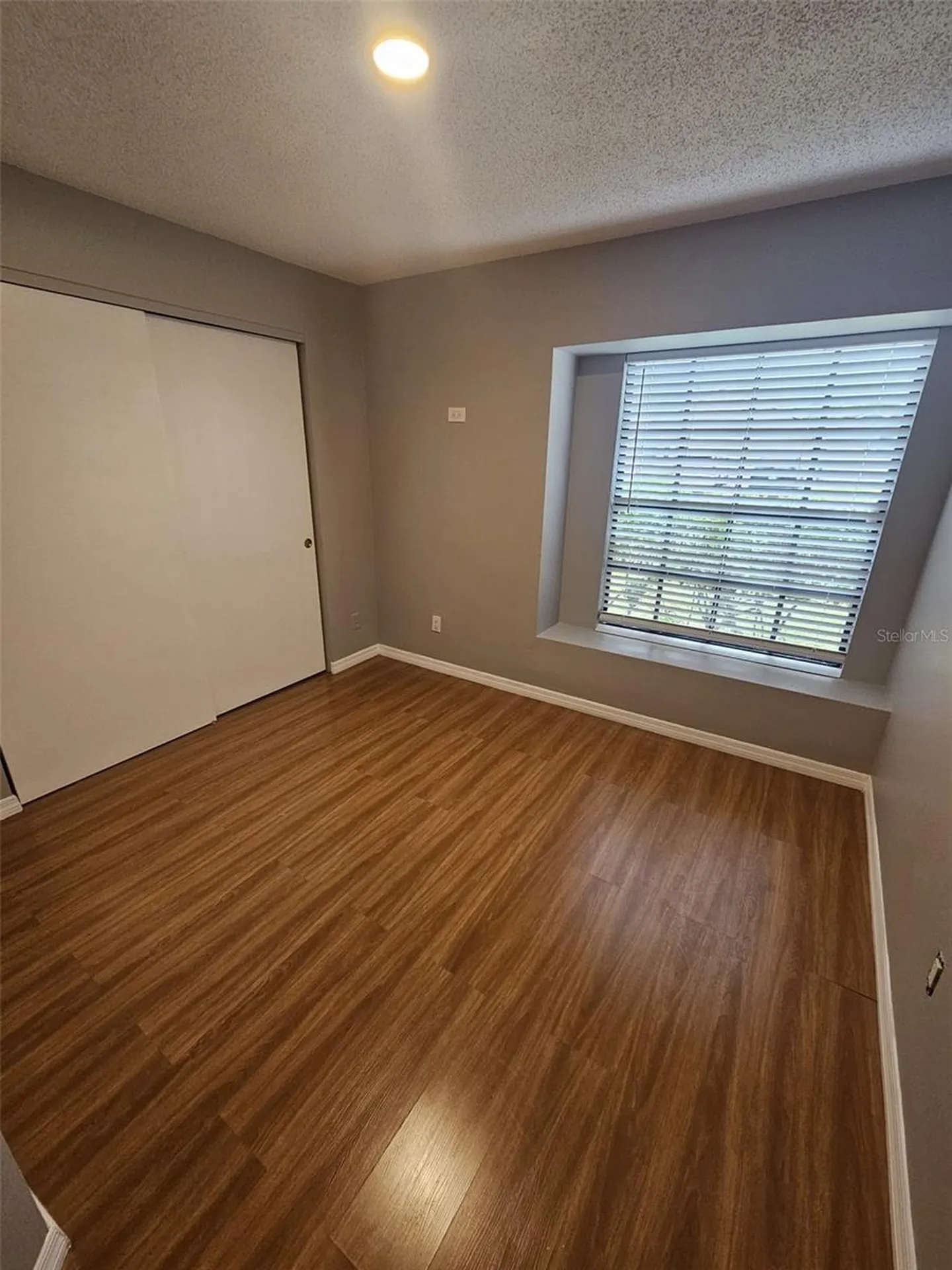 12718 Trowbridge Lane Tampa FL 33624