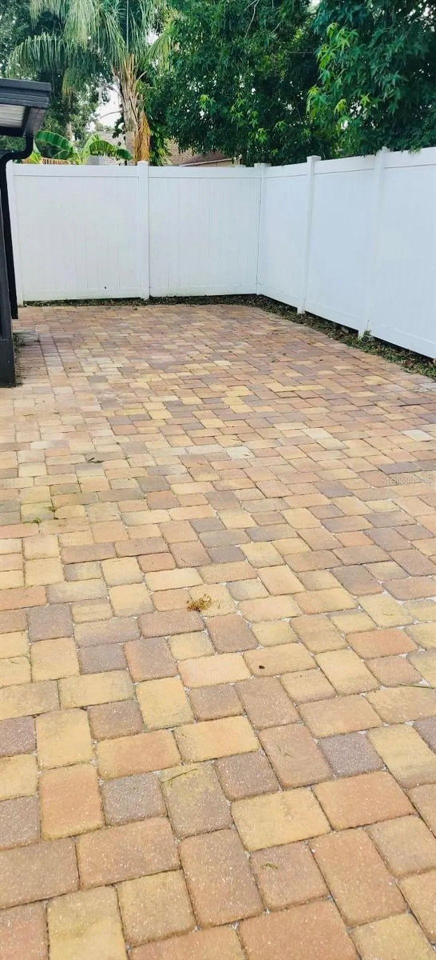 12718 Trowbridge Lane Tampa FL 33624