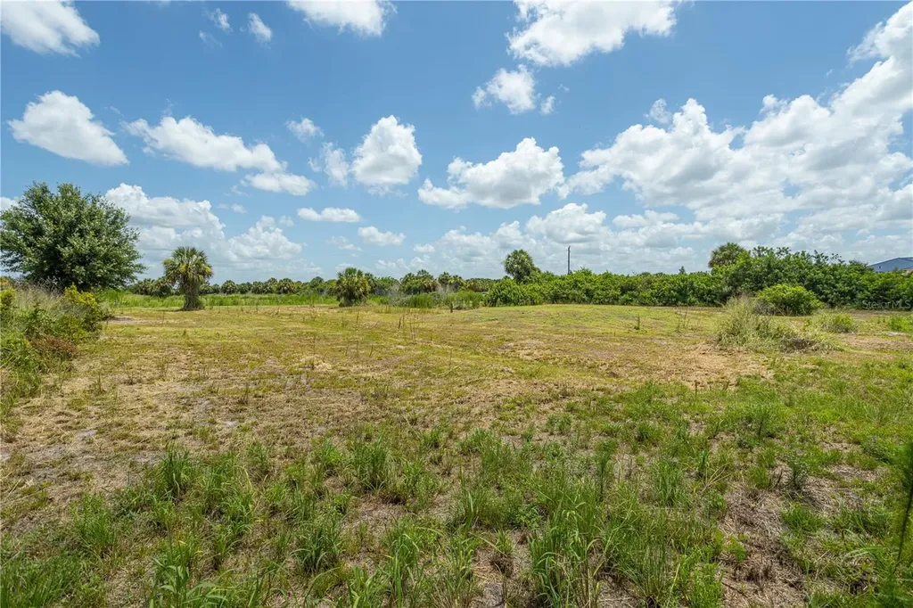 29051 Maris Drive Punta Gorda FL 33982