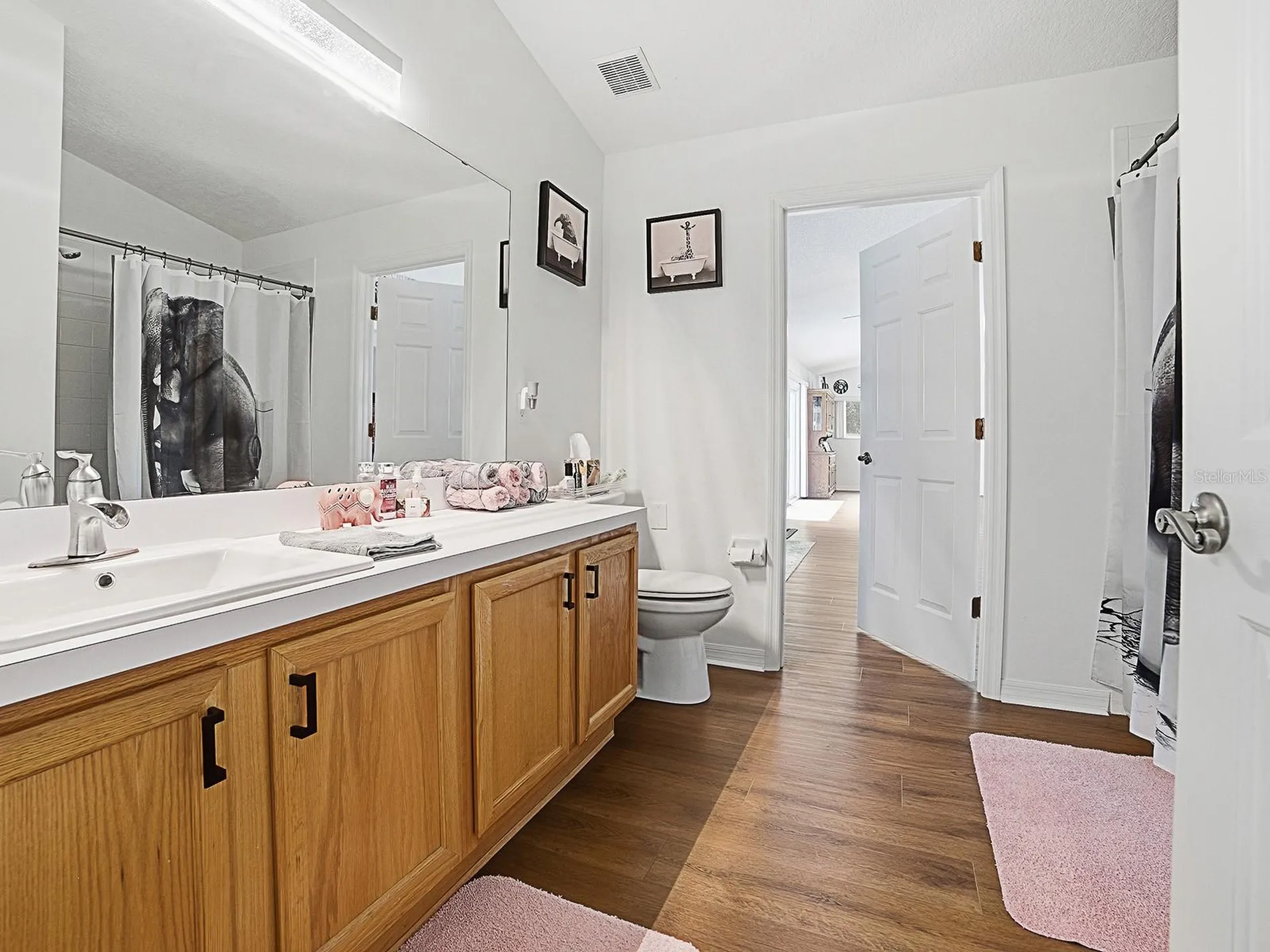 3851 Manor Oaks Court Leesburg FL 34748