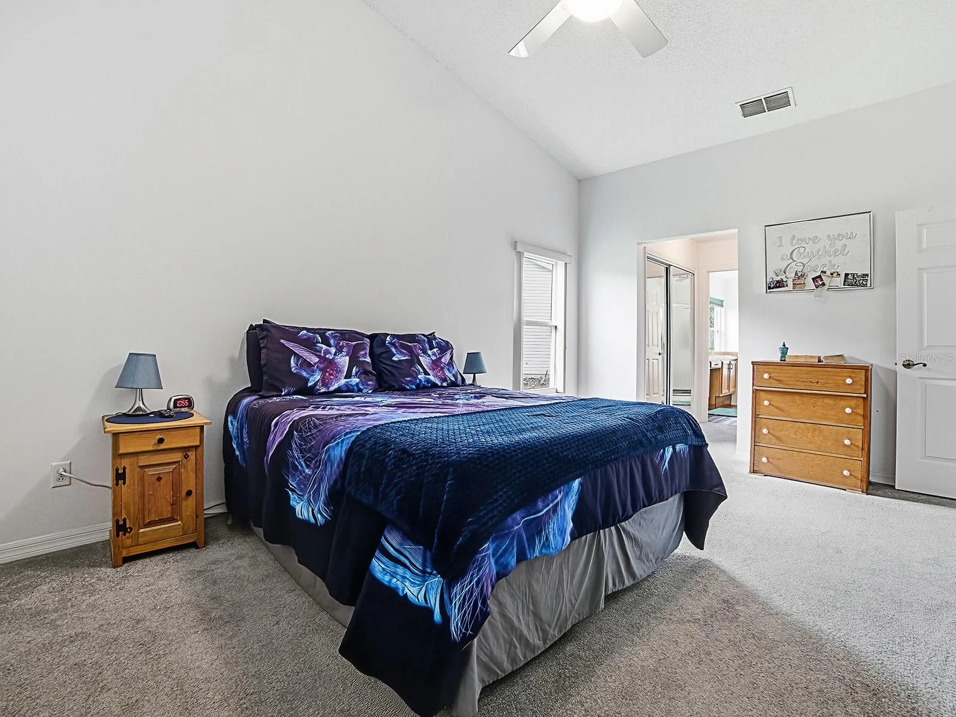 3851 Manor Oaks Court Leesburg FL 34748