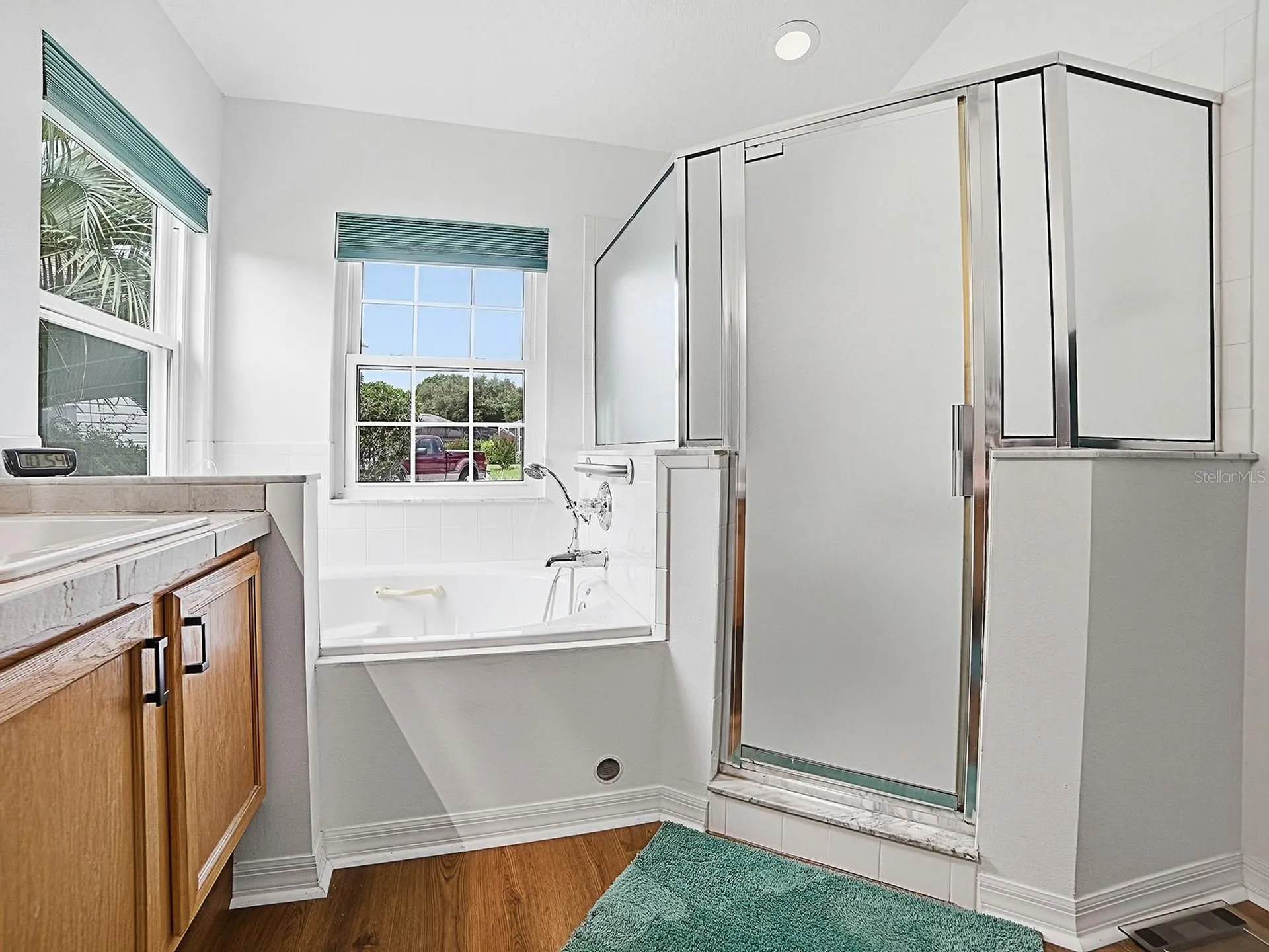 3851 Manor Oaks Court Leesburg FL 34748