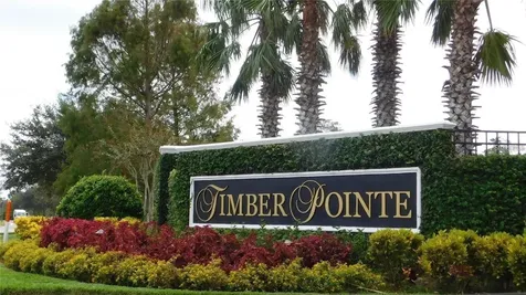 16265 Old Ash Loop Orlando FL 32828