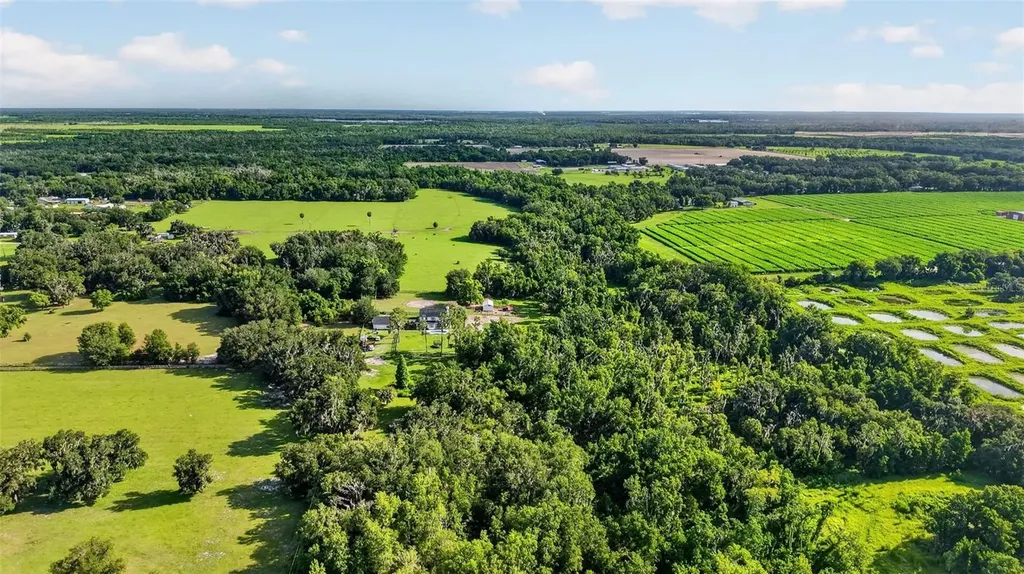8922 Pritcher Road Lithia FL 33547