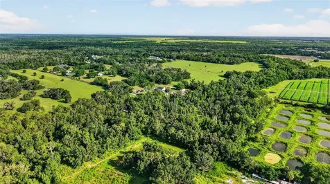 8922 Pritcher Road Lithia FL 33547
