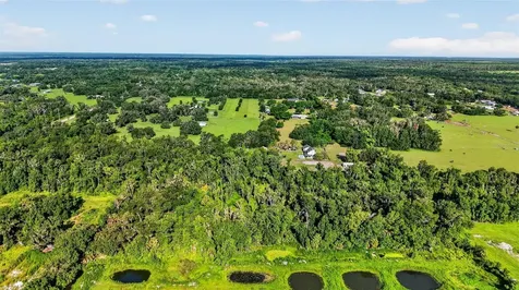 8922 Pritcher Road Lithia FL 33547