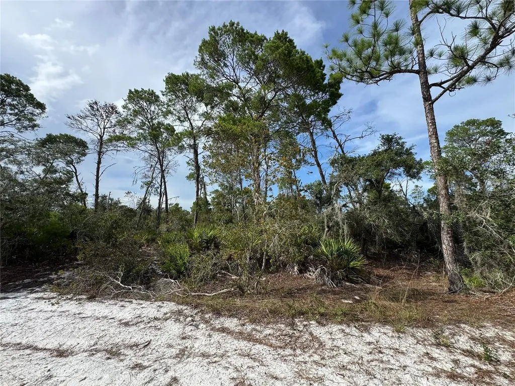 2117 Gardenia Terrace Sebring FL 33875