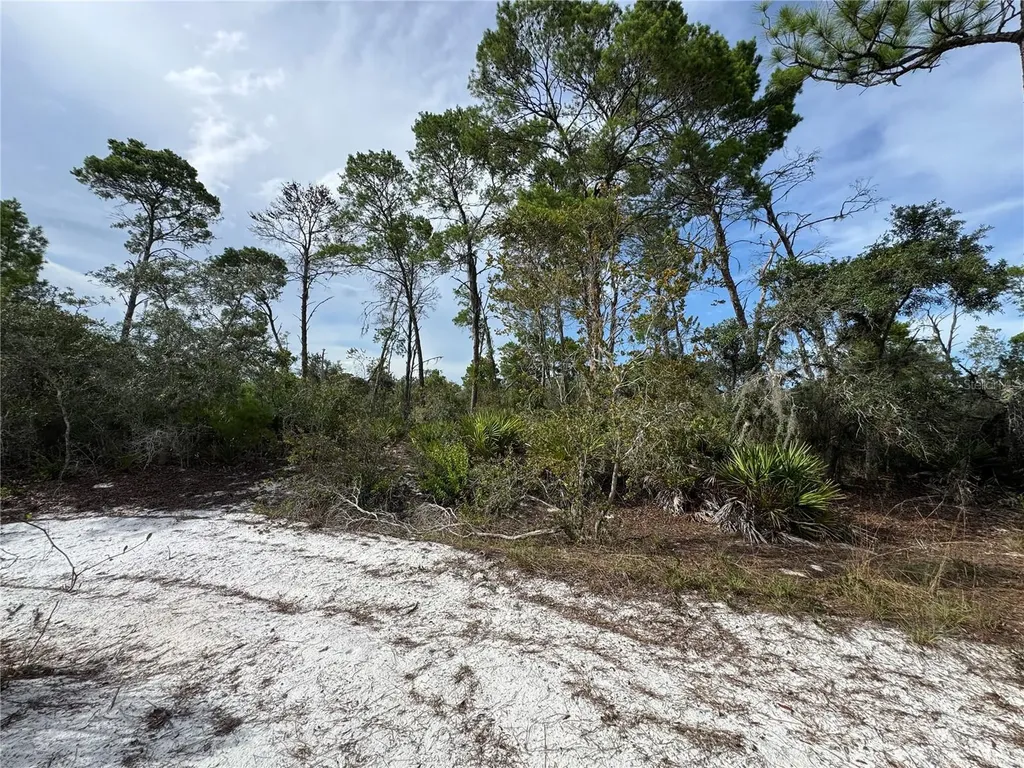 2117 Gardenia Terrace Sebring FL 33875