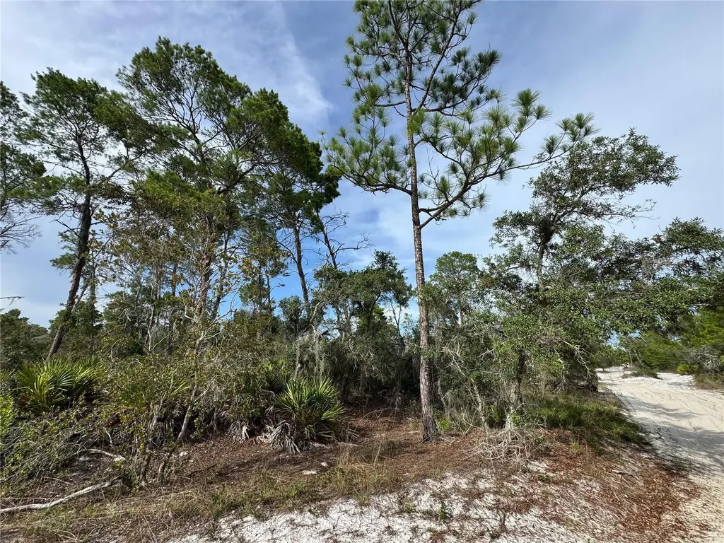 2117 Gardenia Terrace Sebring FL 33875