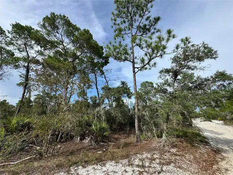 2117 Gardenia Terrace Sebring FL 33875