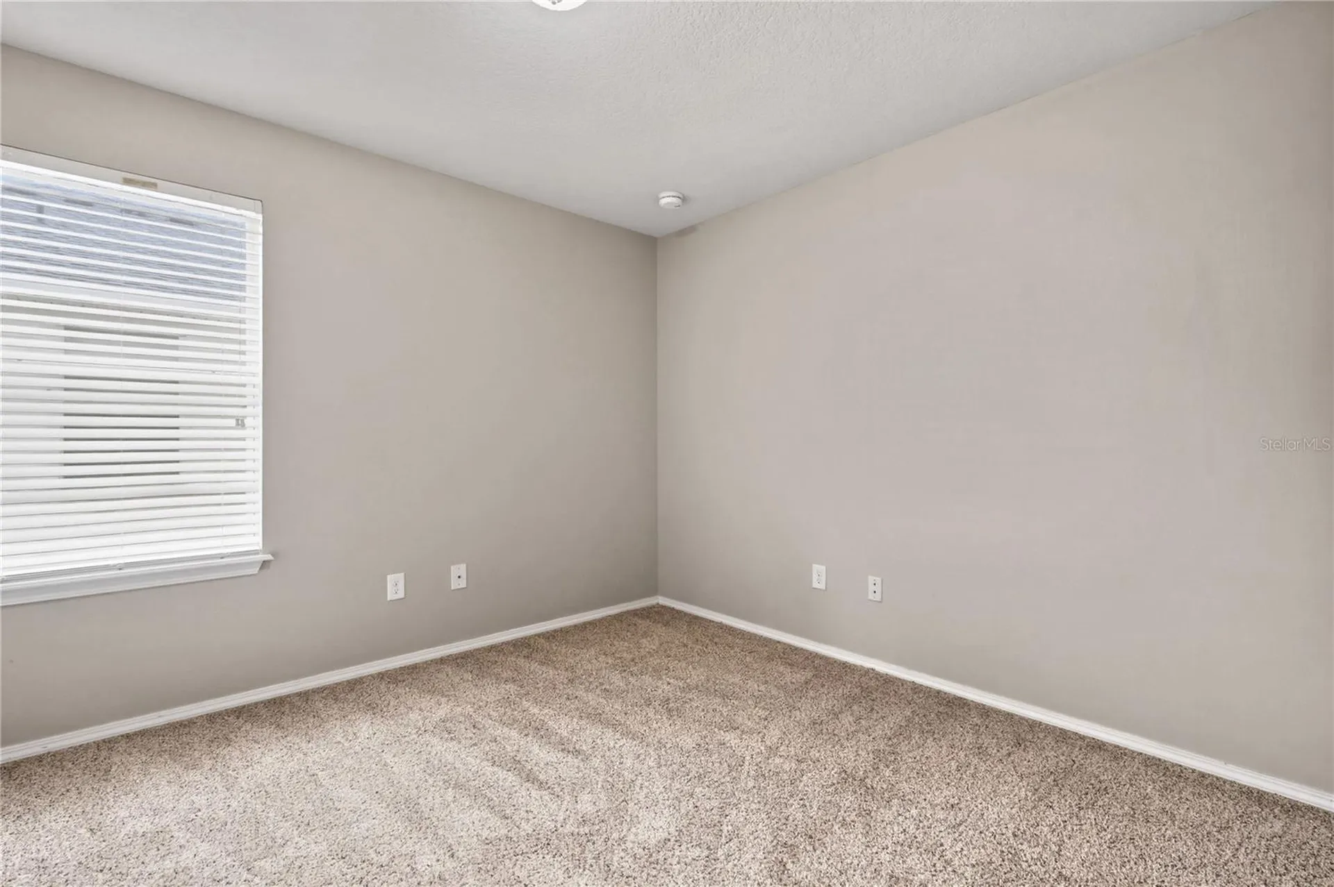 4715 Chatterton Way Riverview FL 33578