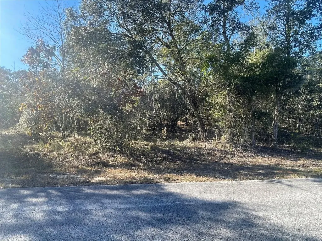 1056 Bamboo Lane Dunnellon FL 34431