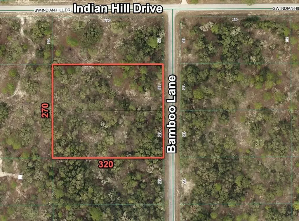 1056 Bamboo Lane Dunnellon FL 34431