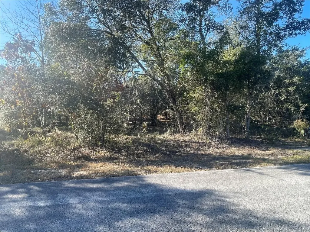 1056 Bamboo Lane Dunnellon FL 34431