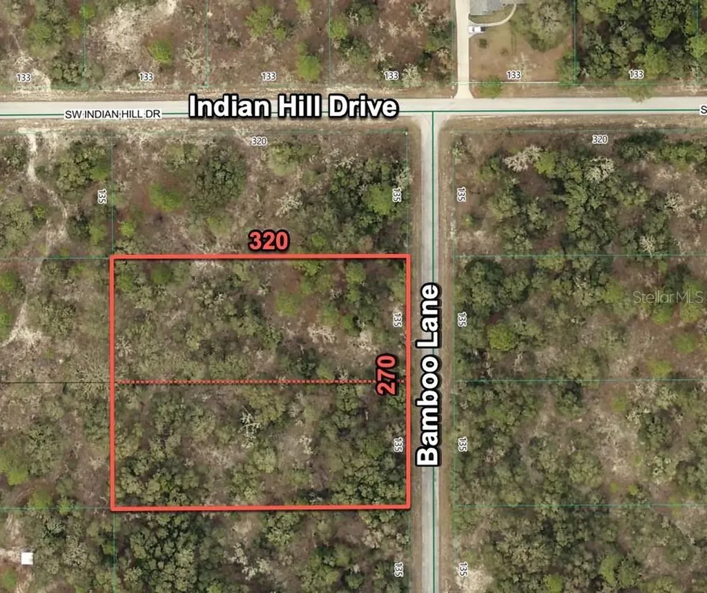 1056 Bamboo Lane Dunnellon FL 34431