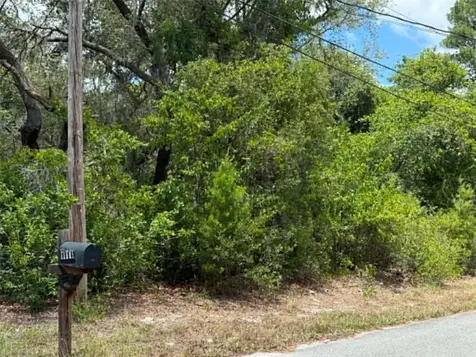 10051 Waddell Street New Port Richey FL 34654