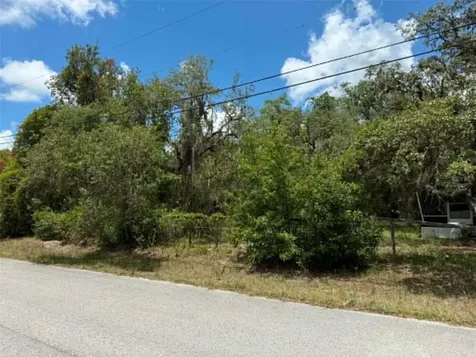 10051 Waddell Street New Port Richey FL 34654