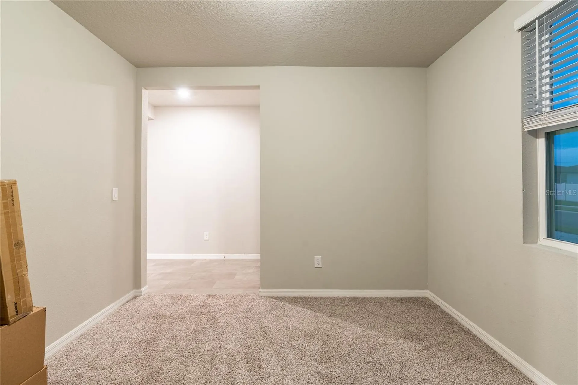 3303 Asher Moon Lane Zephyrhills FL 33540