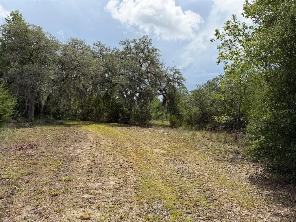 9730 NE State Road 24 Archer FL 32618
