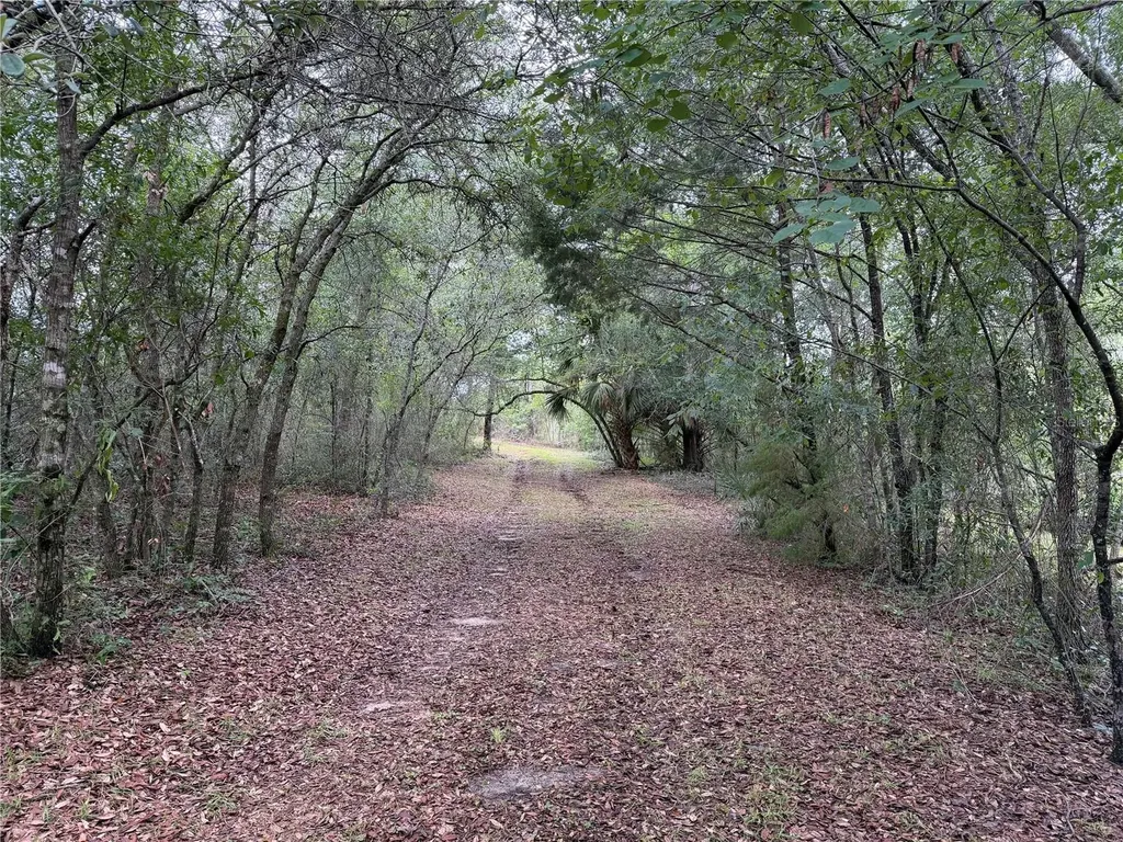 9730 NE State Road 24 Archer FL 32618