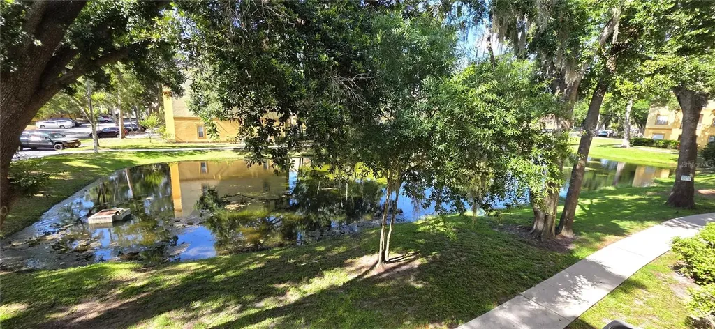 5618 Pinnacle Heights Circle Tampa FL 33624