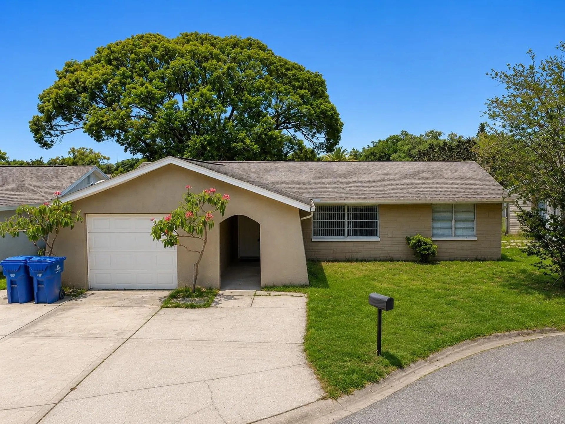7437 Carmel Avenue New Port Richey FL 34655