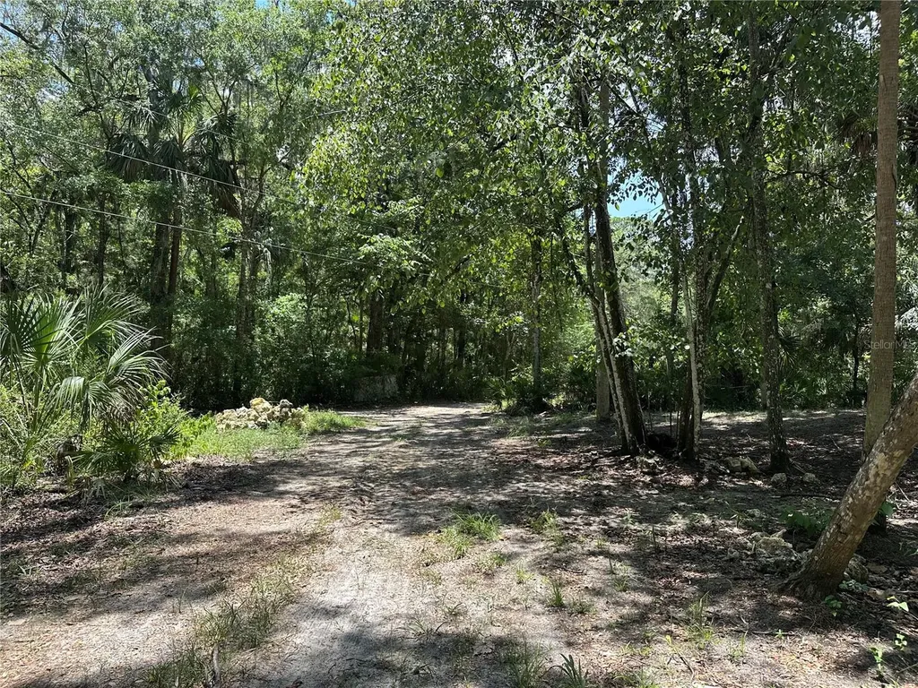 292 S Dew Plant Point Crystal River FL 34429